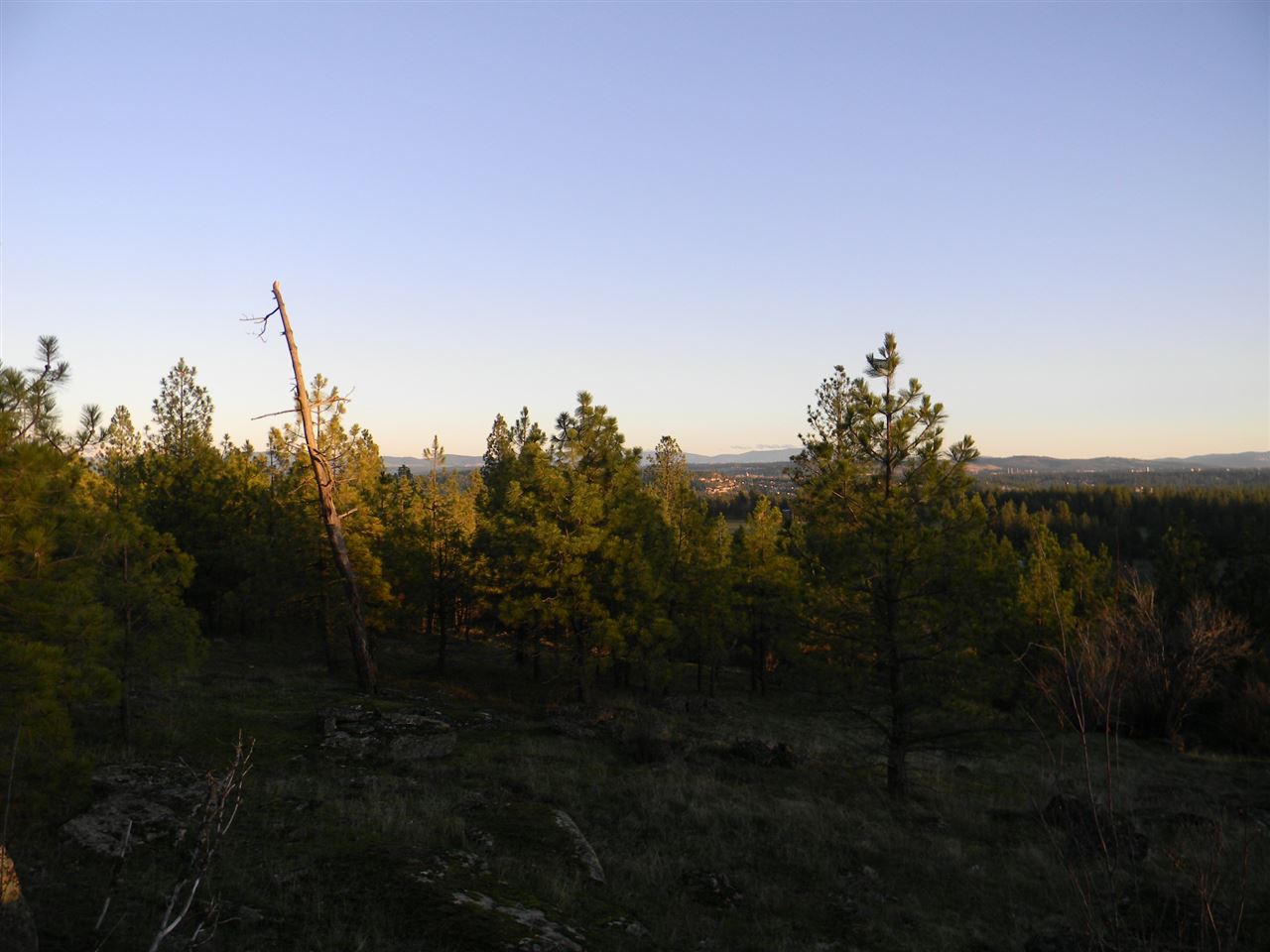 1306 West Austin Road, Unit LOT 2 Spokane, WA 99208 - Photo 4 of 6