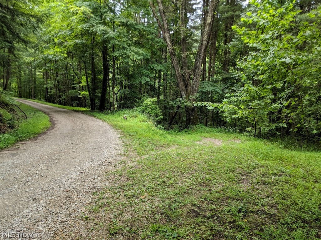 Stone Bridge Road Harrisville, WV 26362 - Photo 5 of 8