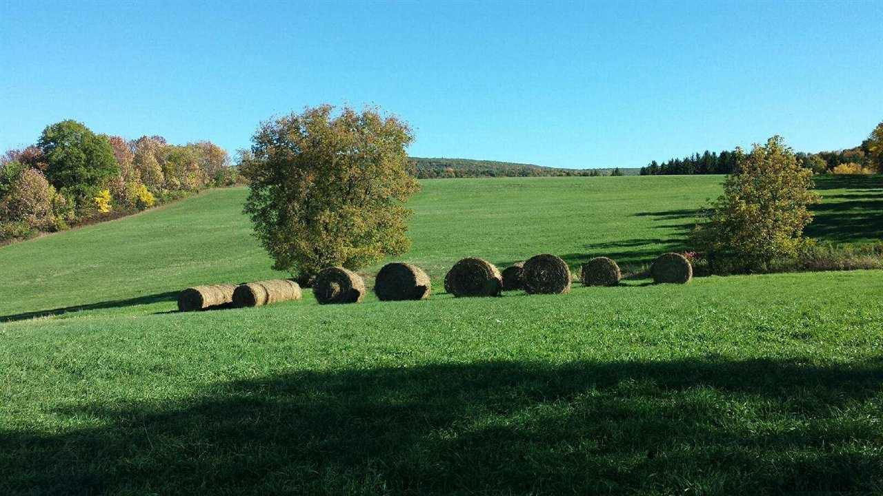 L14 State Route 7 Cobleskill, NY 12043 - Photo 28 of 43 Photo 26