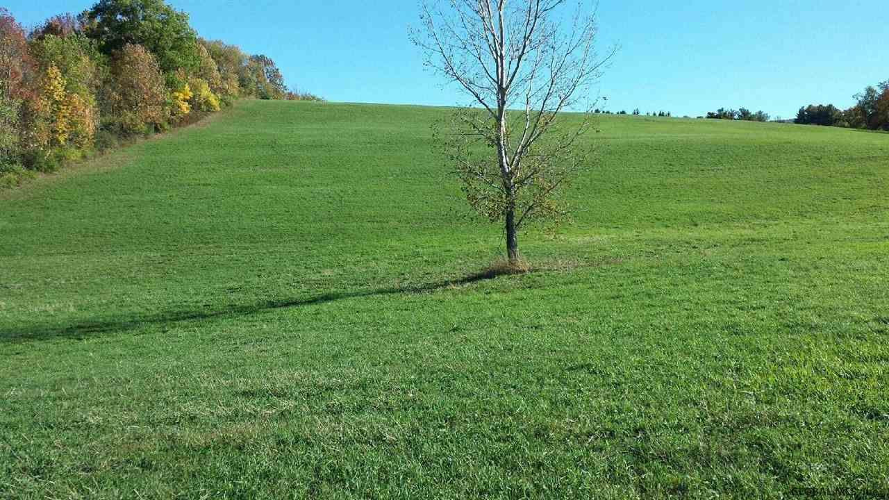 L14 State Route 7 Cobleskill, NY 12043 - Photo 32 of 43 Photo 29