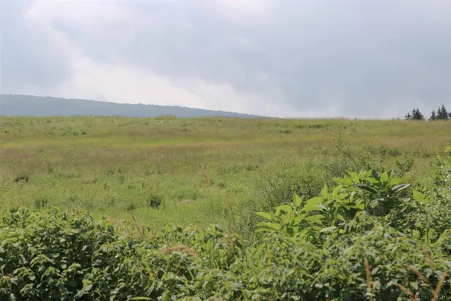 $525,000 | L14 State Route 7, Cobleskill, NY 12043