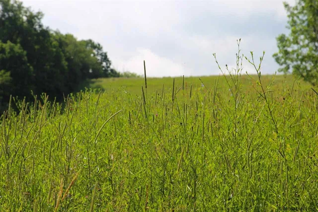 $525,000 | L14 State Route 7, Cobleskill, NY 12043