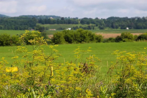 $525,000 | L14 State Route 7, Cobleskill, NY 12043