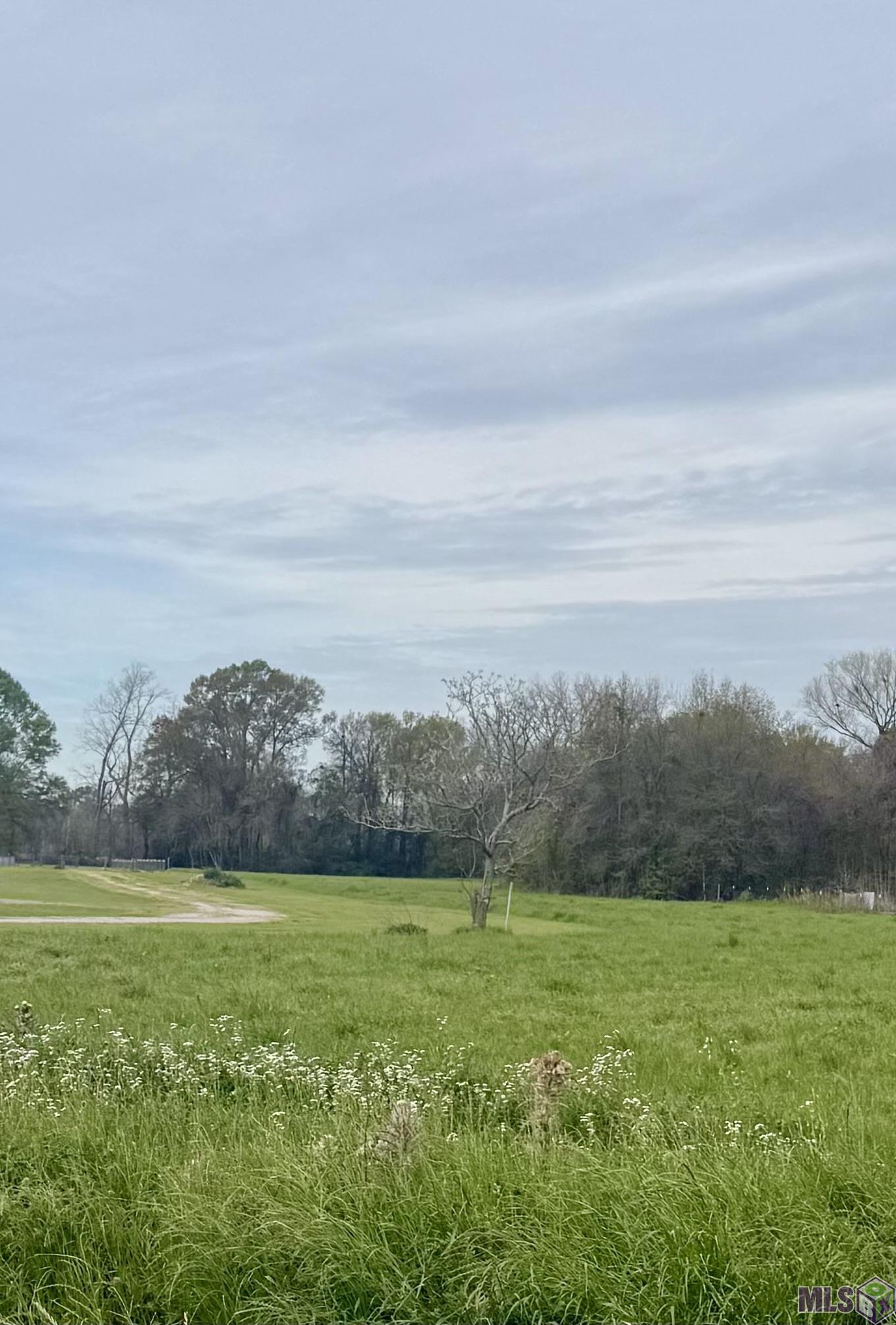Tbd Oakland Road Lakeland, LA 70752 - Photo 1 of 4