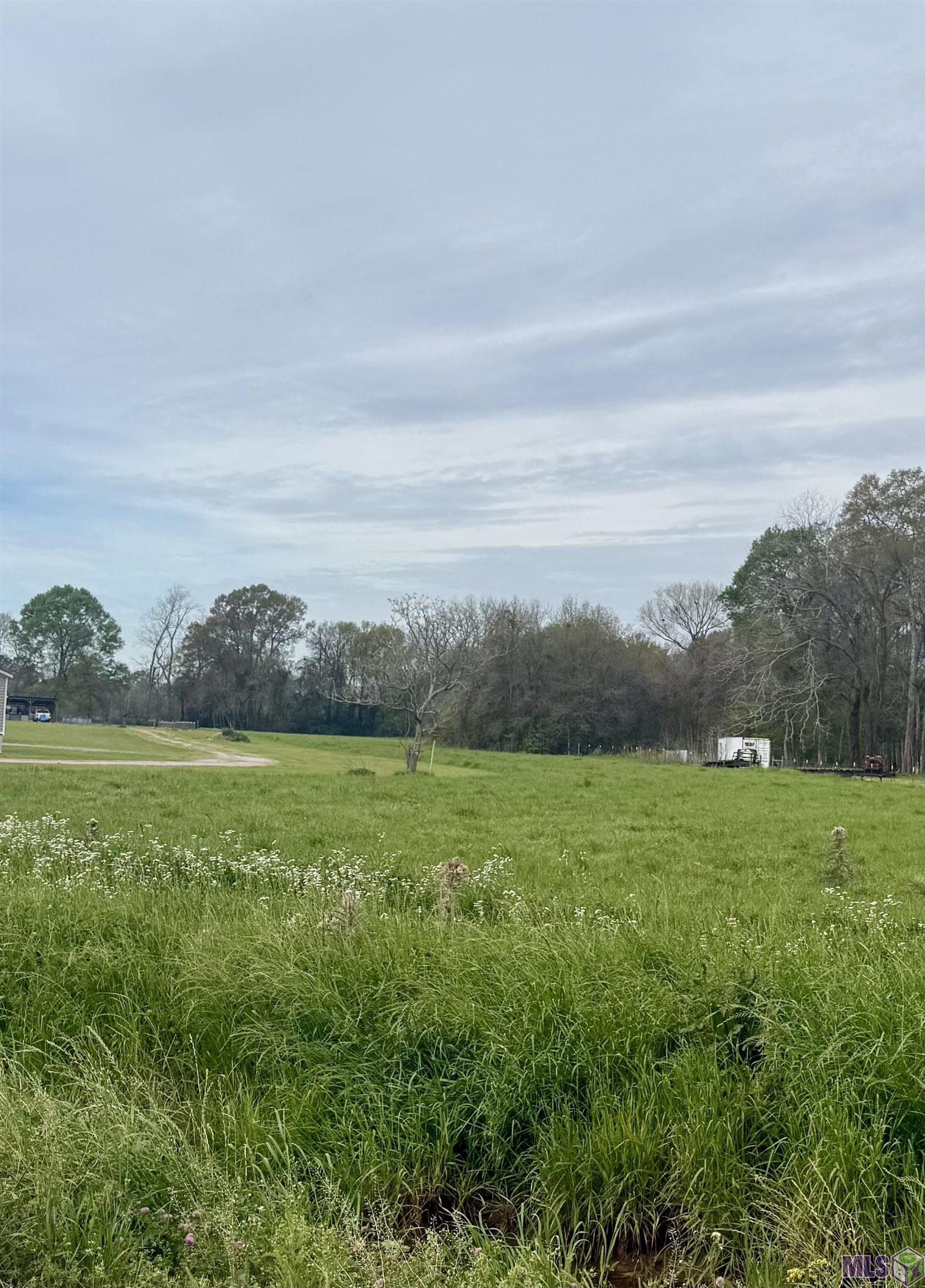 Tbd Oakland Road Lakeland, LA 70752 - Photo 2 of 4