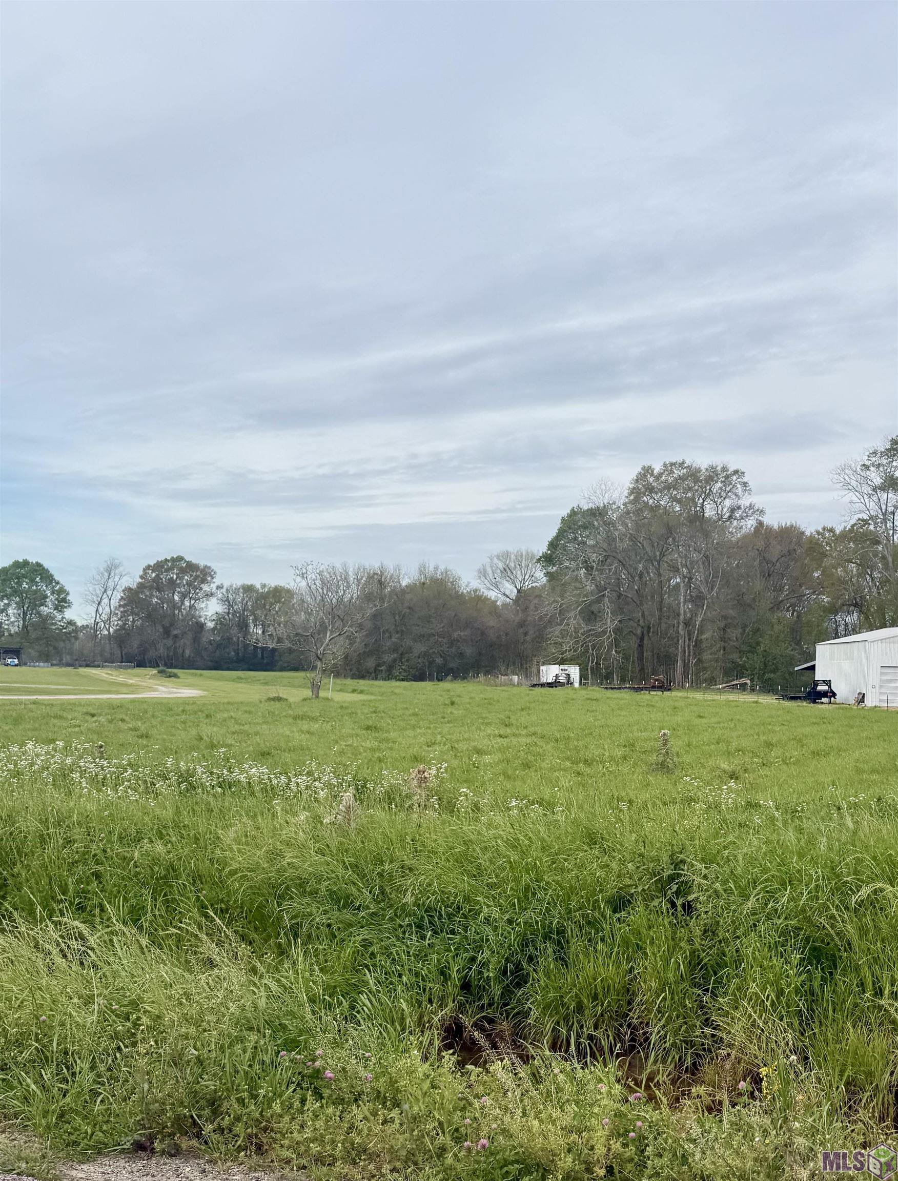Tbd Oakland Road Lakeland, LA 70752 - Photo 3 of 4