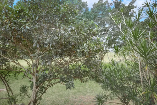 $2,300 | 4801 Esedra Court, Unit 201, Lake Worth, FL 33467