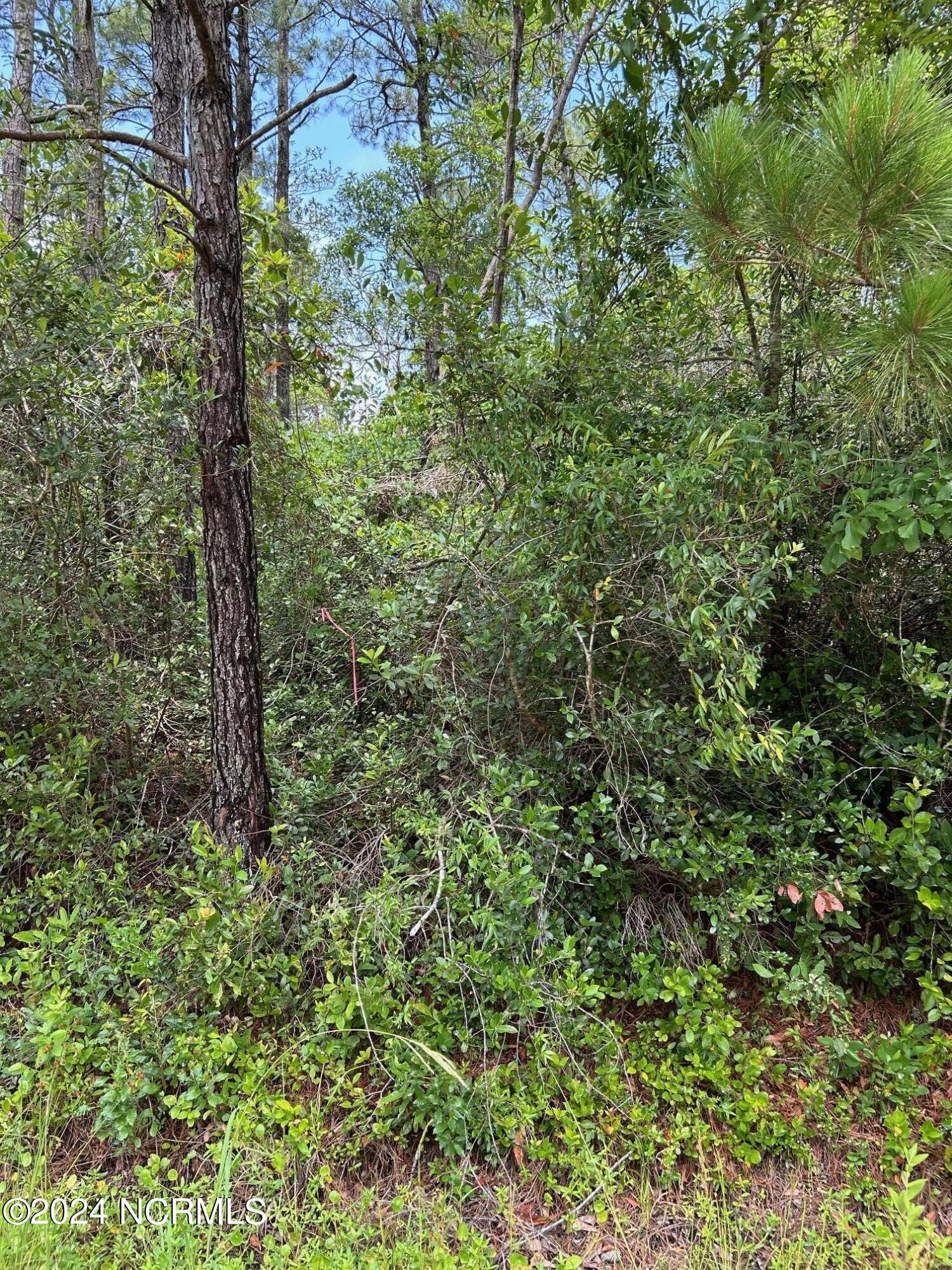 1695 Beech Road Southport, NC 28461 - Photo 3 of 4 Beech 5 lots