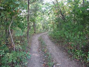 470 Gritton Road Salvisa, KY 40372 - Photo 90 of 96 Photo 92