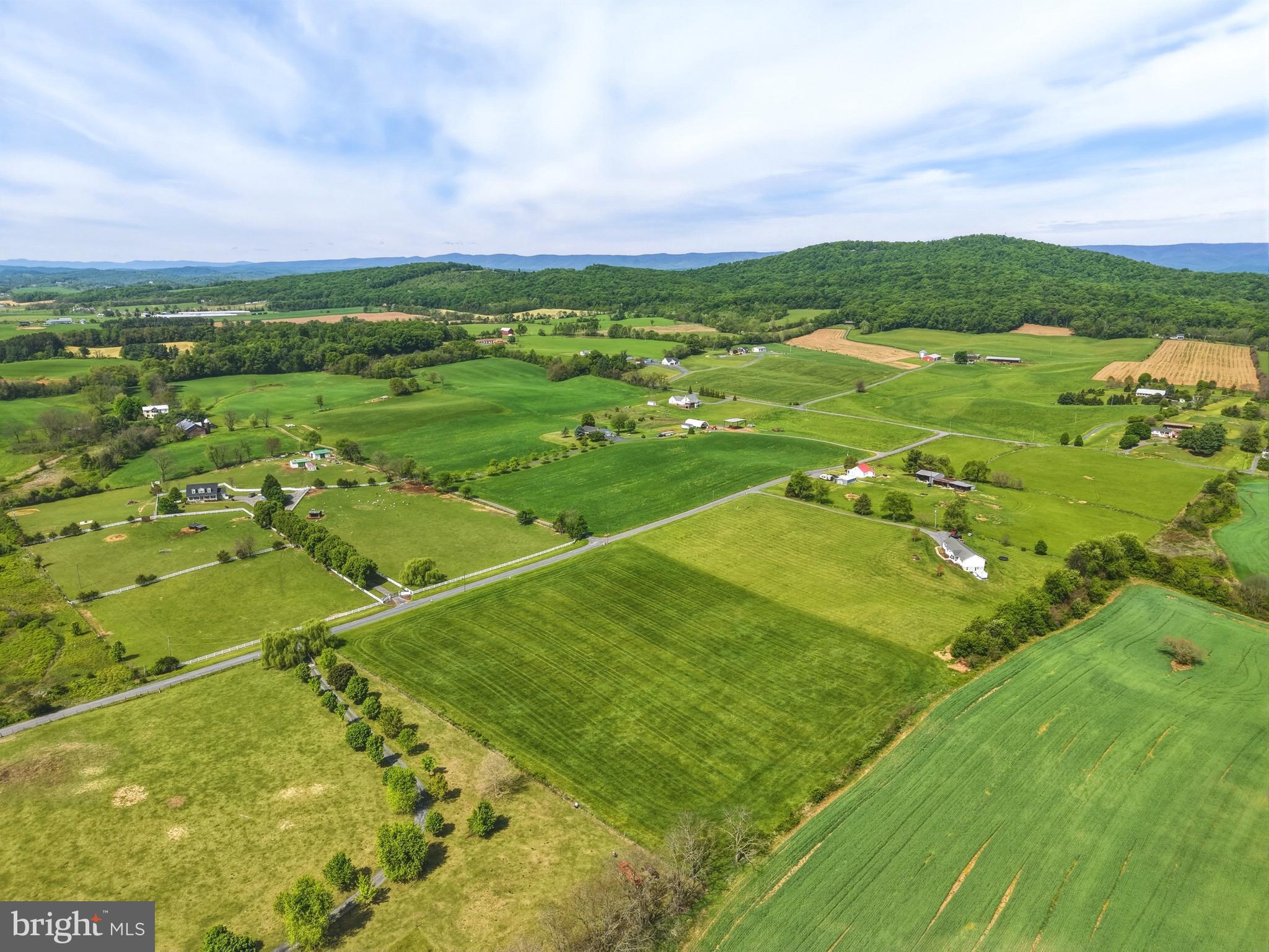 0 Bauserman Road Mount Jackson, VA 22842 - Photo 11 of 16