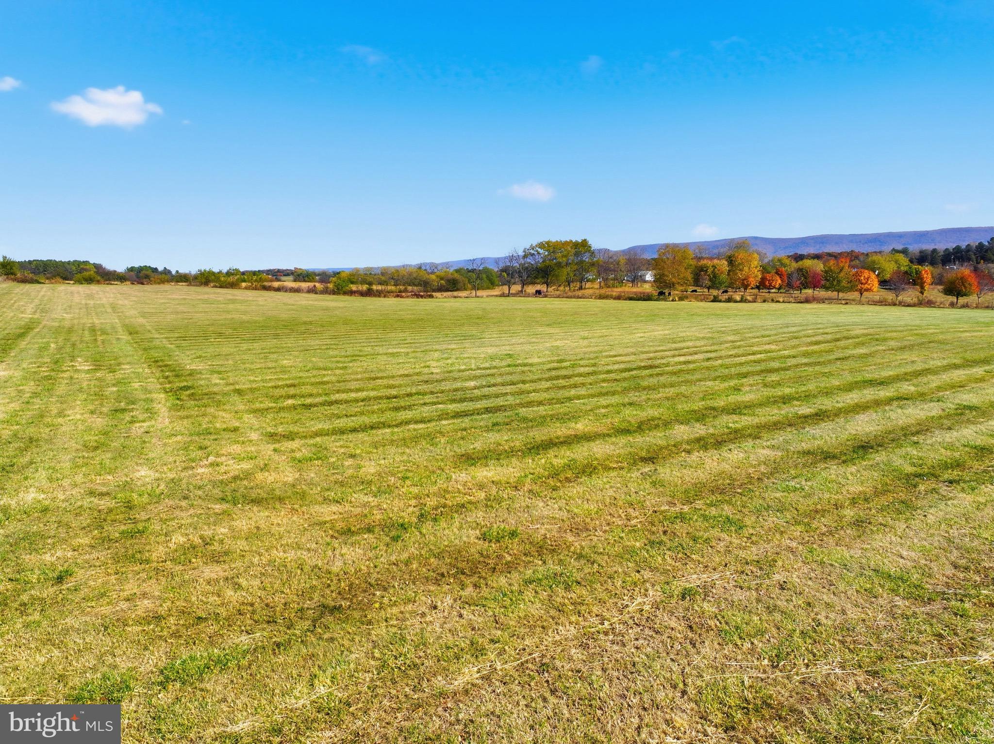 0 Bauserman Road Mount Jackson, VA 22842 - Photo 2 of 17 a view of an ocean