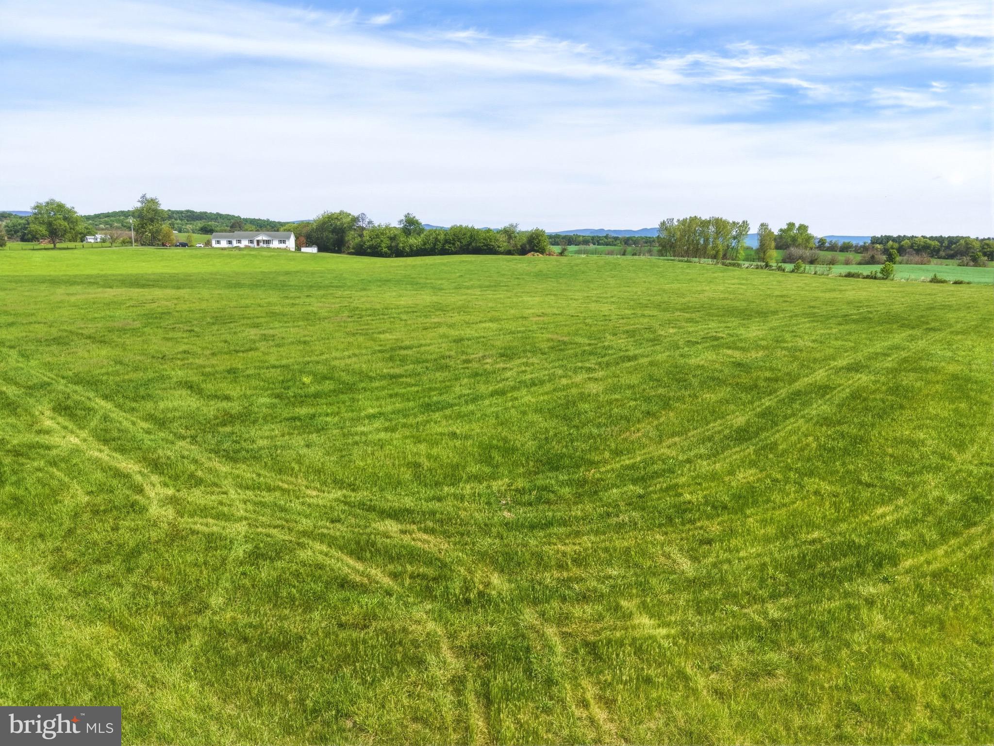 0 Bauserman Road Mount Jackson, VA 22842 - Photo 4 of 16
