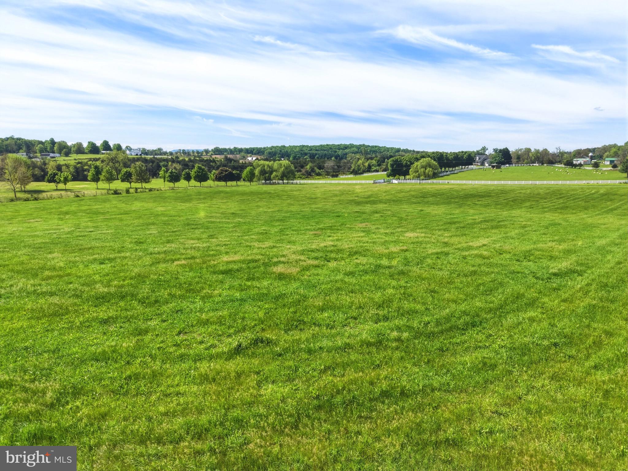 0 Bauserman Road Mount Jackson, VA 22842 - Photo 6 of 16