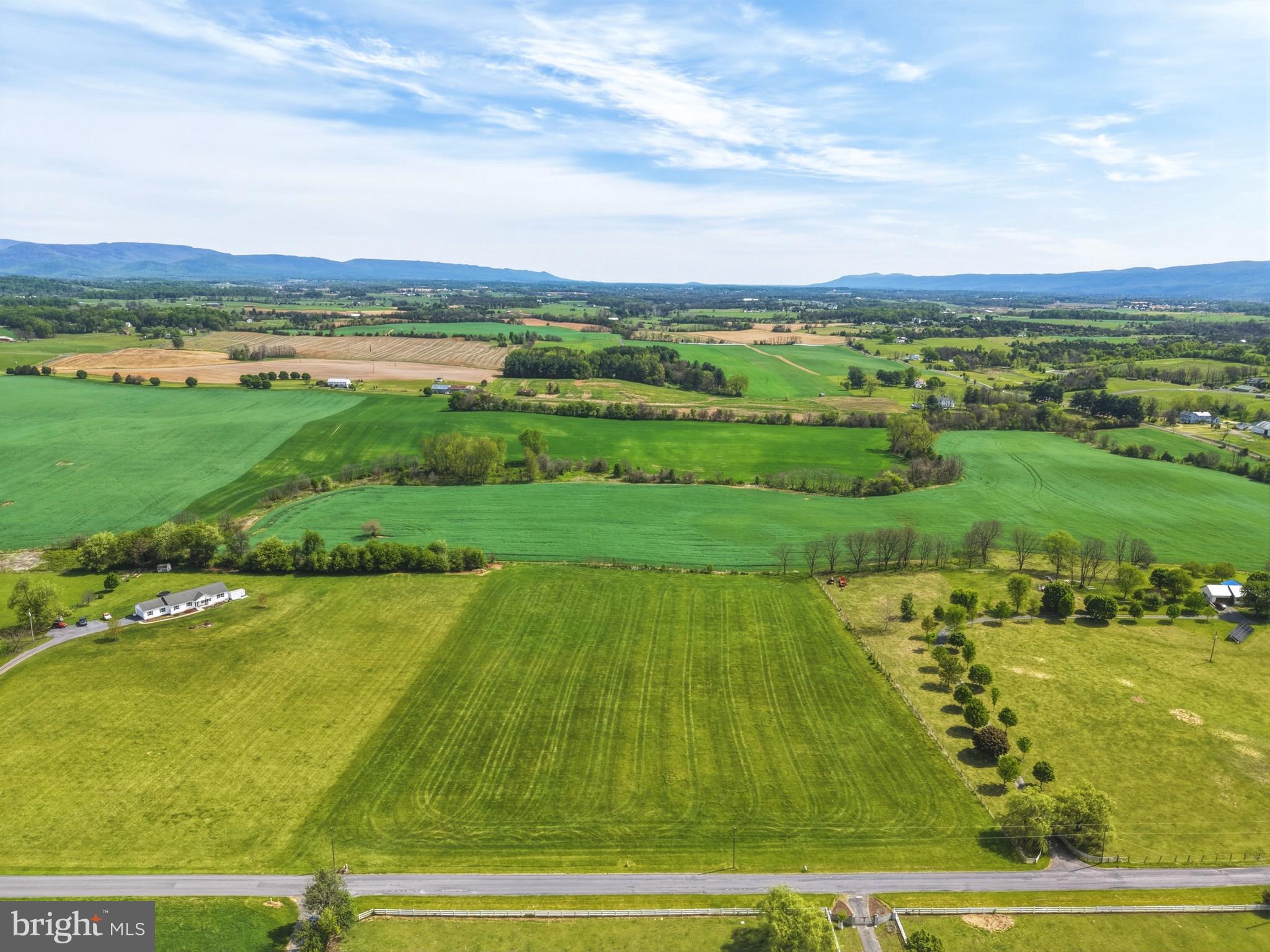 0 Bauserman Road Mount Jackson, VA 22842 - Photo 8 of 16