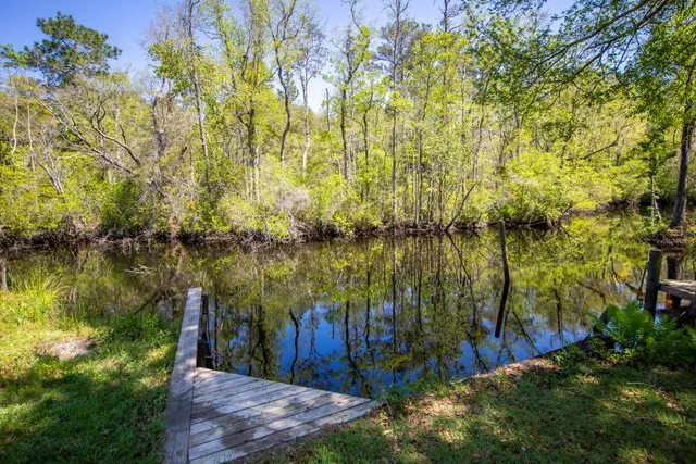 a view of lake with green space