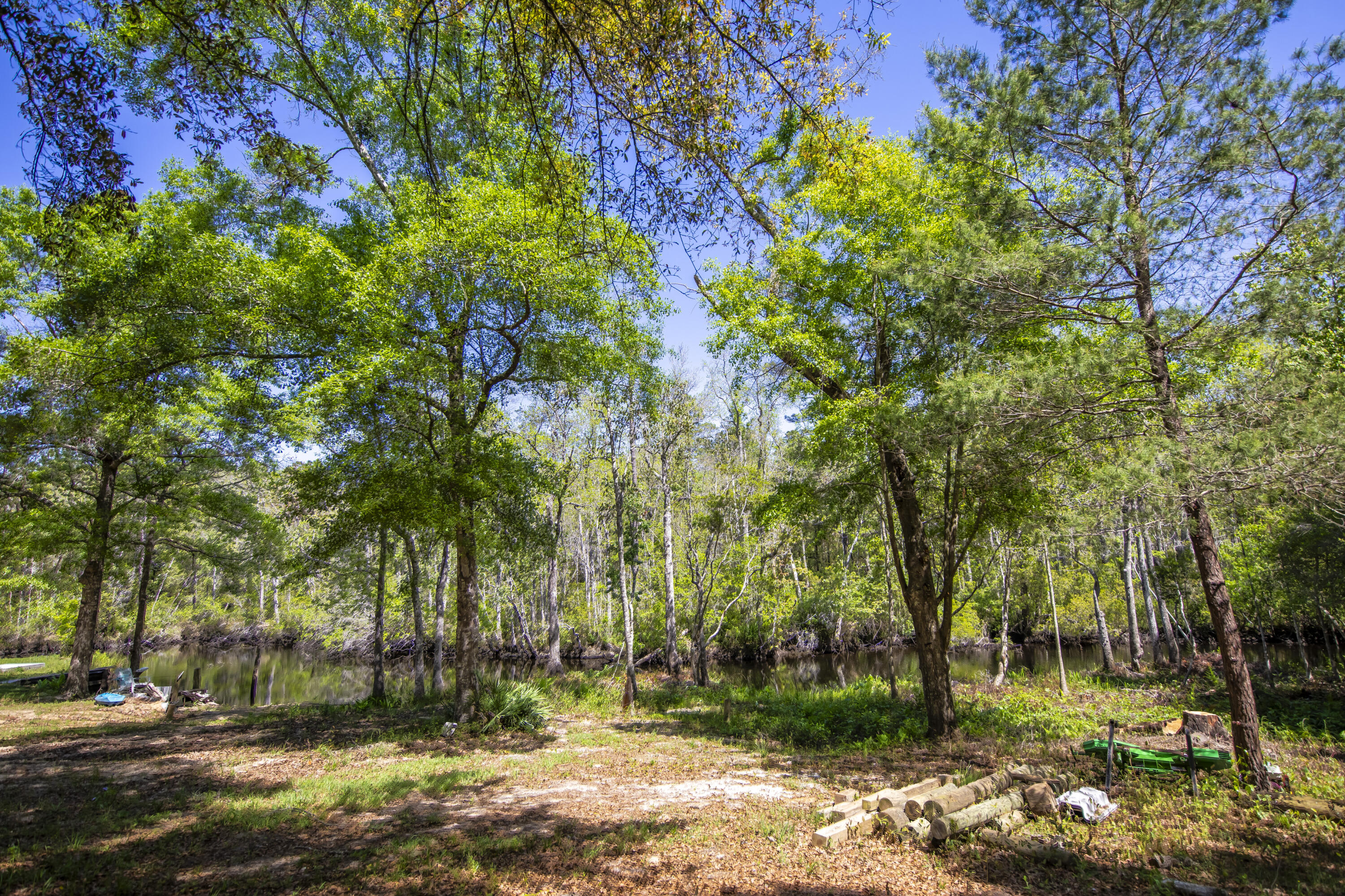 748 Phillips Drive Freeport, FL 32439 - Photo 49 of 50 a backyard of a house with lots of green space