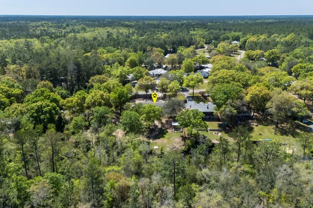 a view of a green field with lots of bushes
