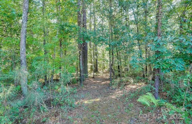 $470,000 | 411 Stonefield Circle, Moncks Corner, SC 29461