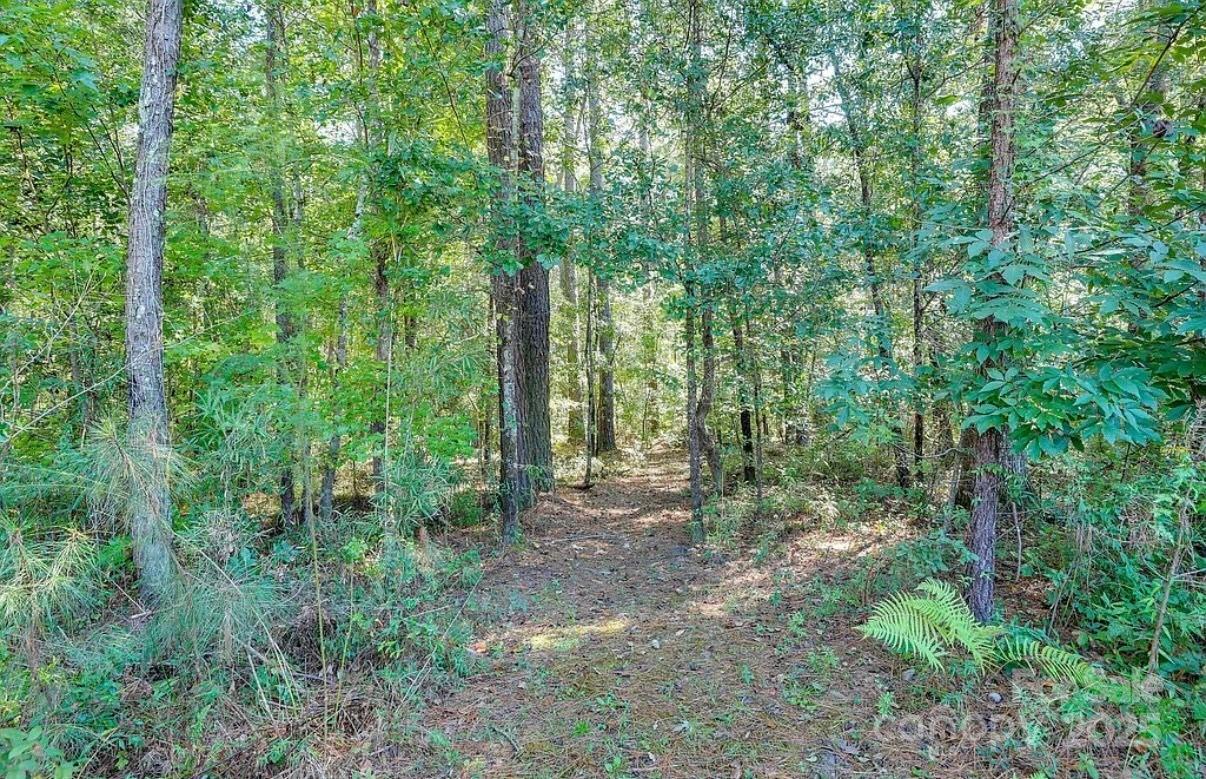 411 Stonefield Circle Moncks Corner, SC 29461 - Photo 8 of 42 a view of outdoor space and green space
