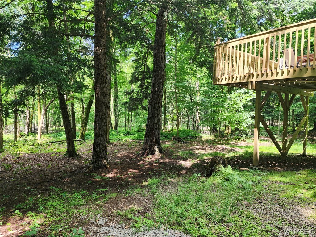 5 Woodstock Road Concord, NY 14069 - Photo 37 of 45