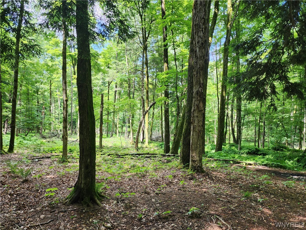 5 Woodstock Road Concord, NY 14069 - Photo 39 of 45