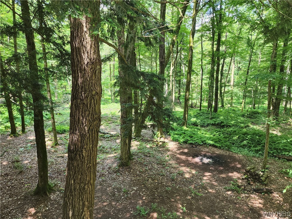 5 Woodstock Road Concord, NY 14069 - Photo 40 of 45