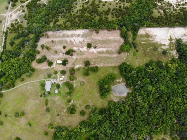 a view of a garden with plants