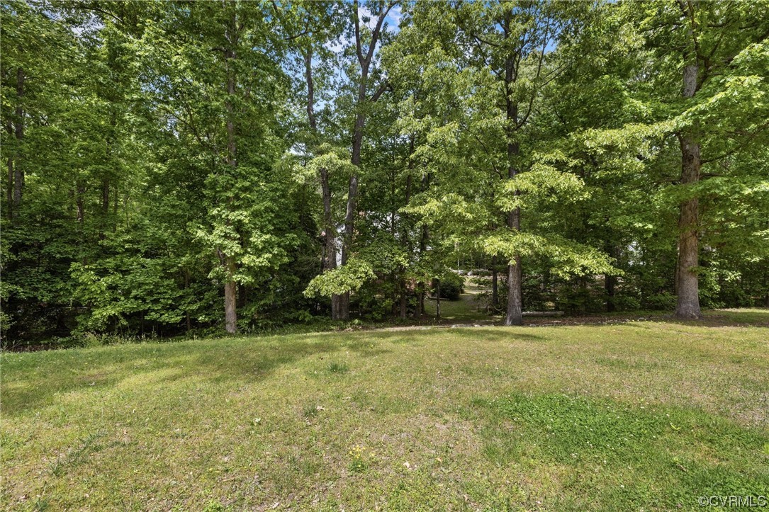 11100 Golden Leaf Road Chester, VA 23831 - Photo 30 of 39 a view of outdoor space with a garden and trees