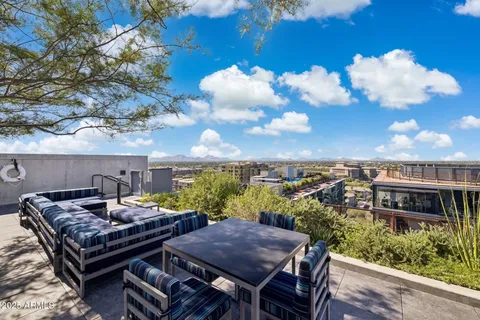 a view of a garden with plants