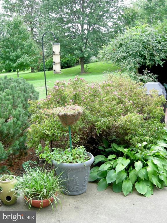 12 Karen Court Lititz, PA 17543 - Photo 13 of 16 Gallery Image 13