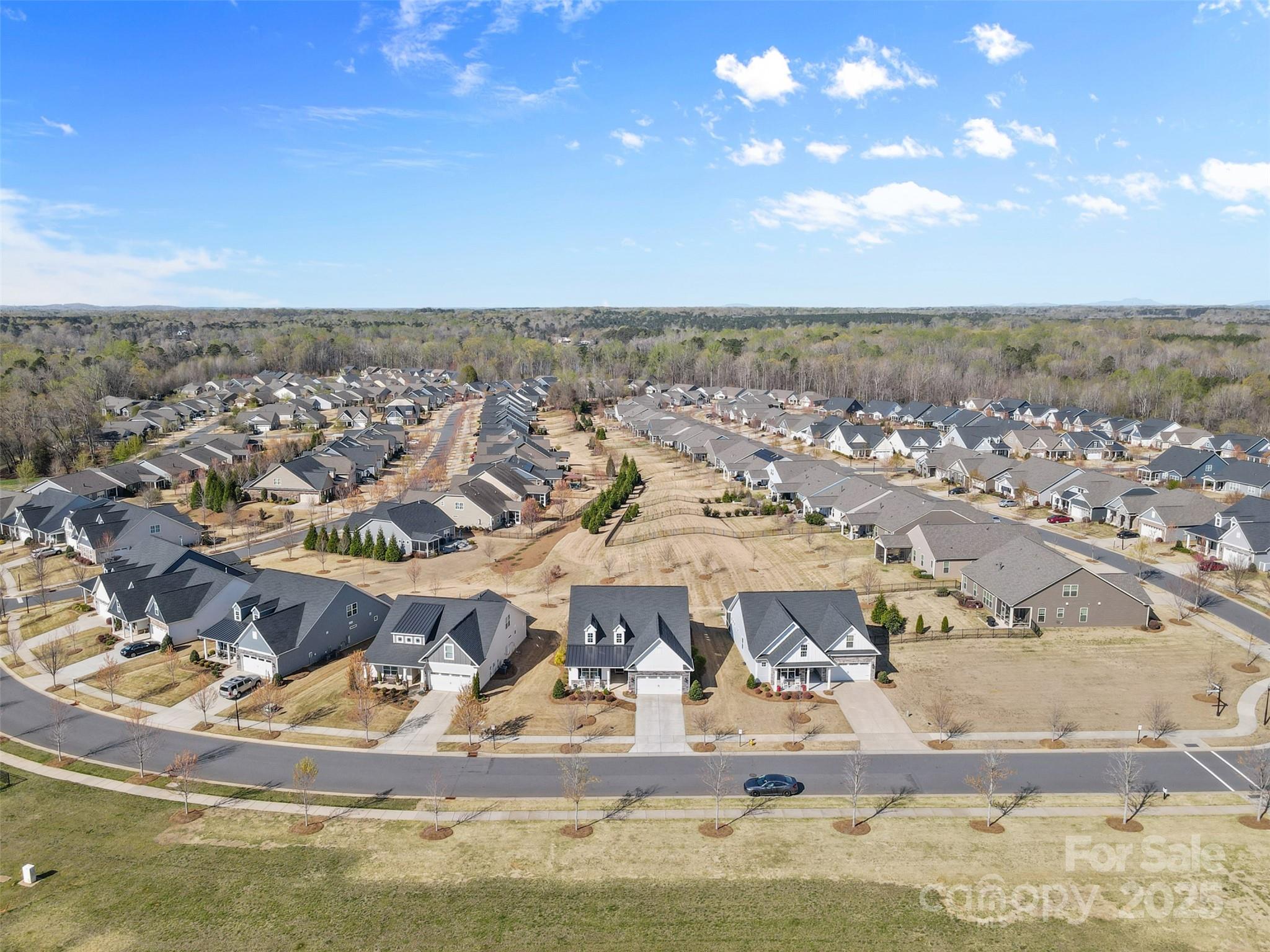 315 Conservancy Drive Belmont, NC 28012 - Photo 3 of 33