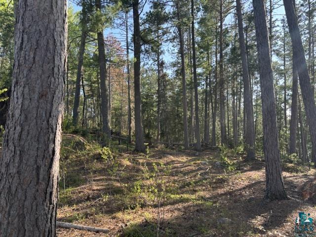 3506 Hanson Lk Road Ely, MN 55731 - Photo 21 of 26