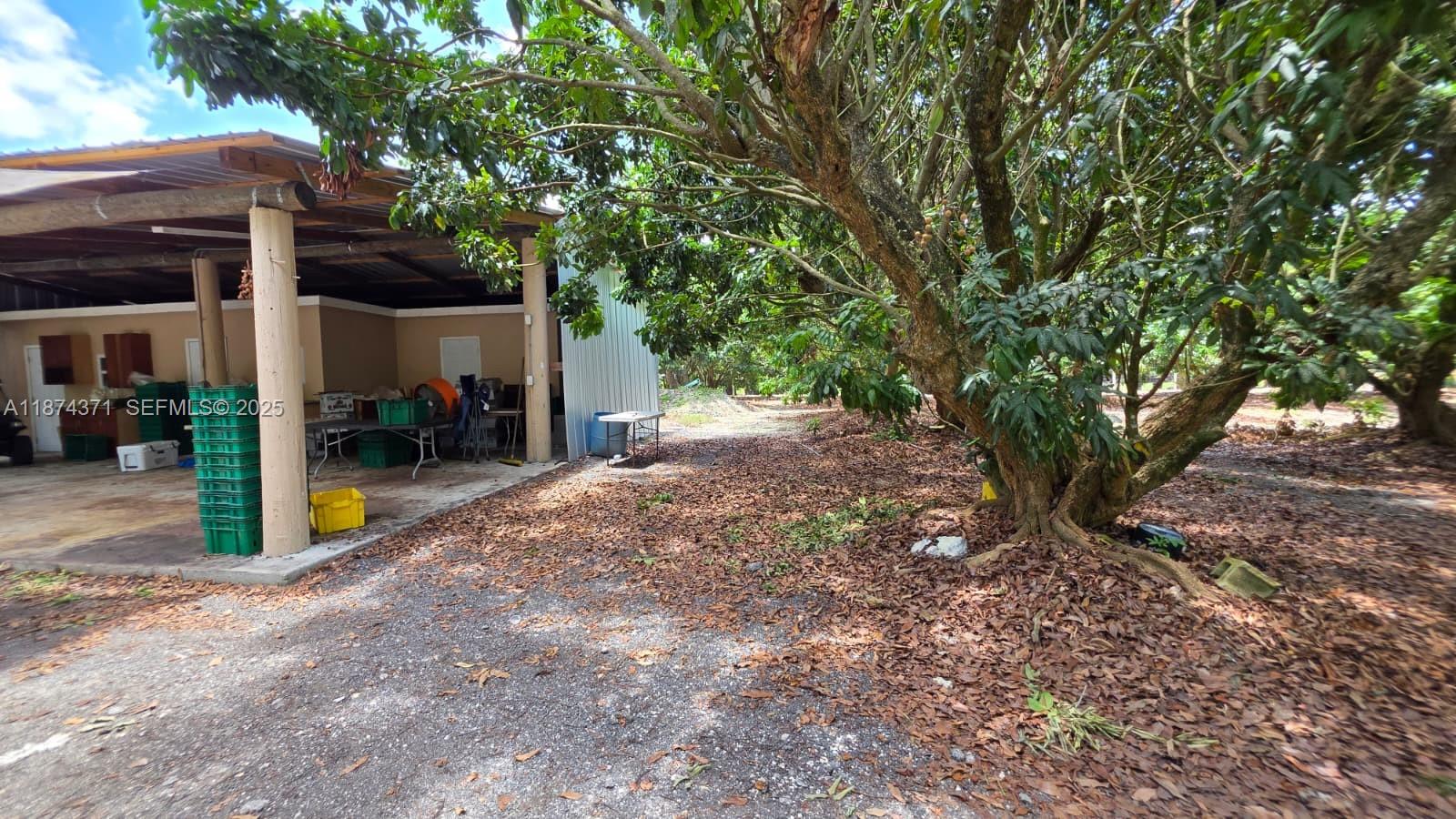 20970 Southwest 296th Street Homestead, FL 33030 - Photo 4 of 14 a view of a house with backyard