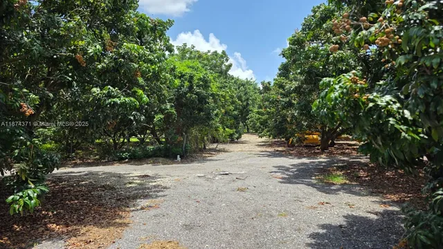 a view of a yard with plants and trees
