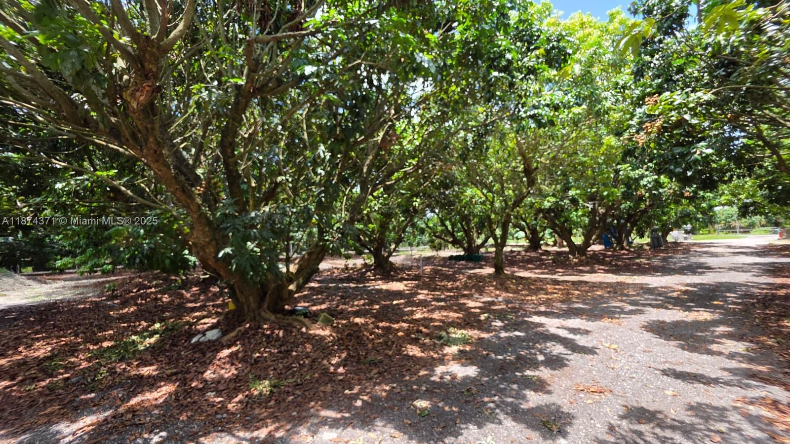 20970 Southwest 296th Street Homestead, FL 33030 - Photo 7 of 14 a backyard of a house with lots of green space