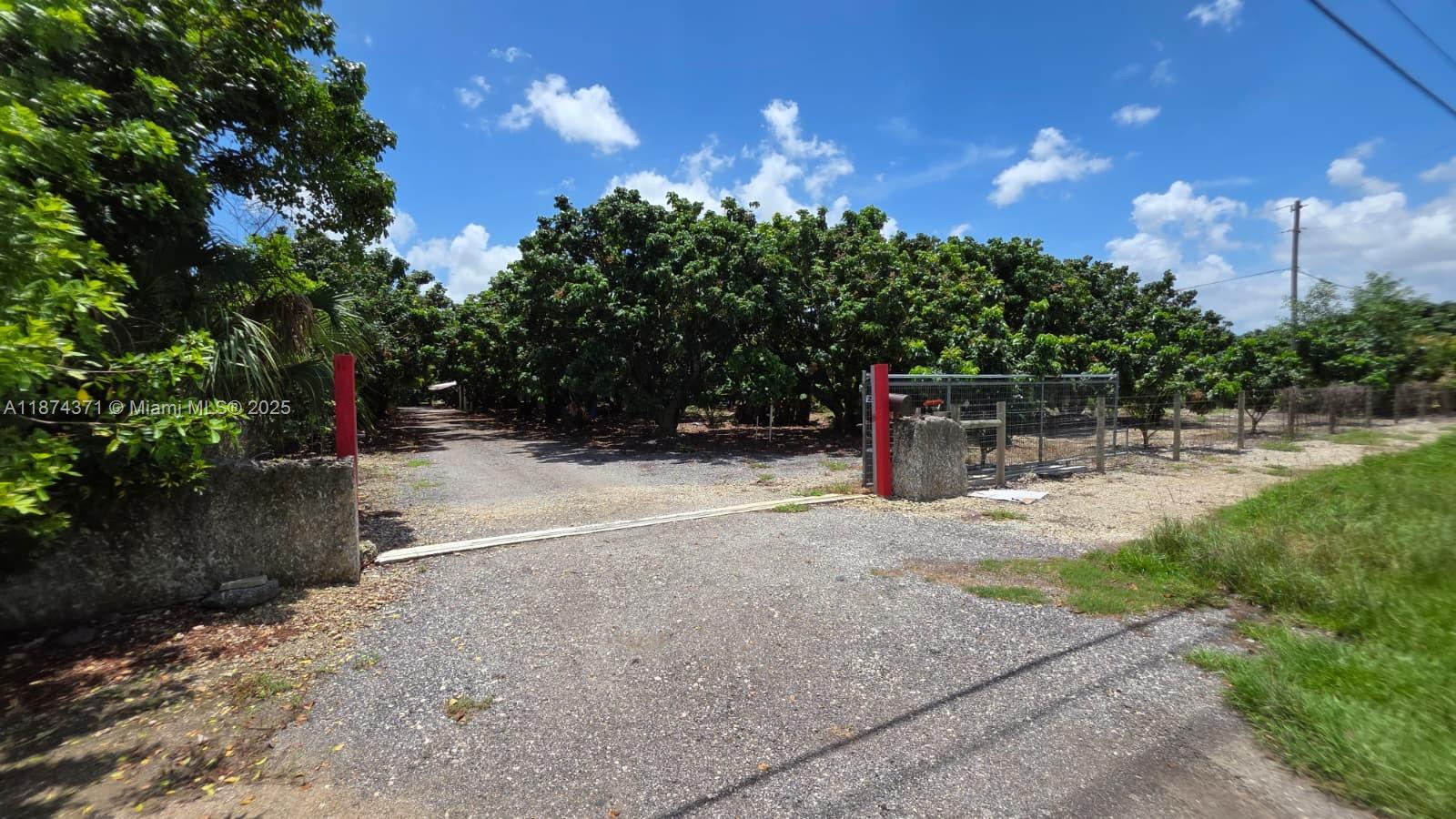 20970 Southwest 296th Street Homestead, FL 33030 - Photo 9 of 14 a backyard of a house with lots of green space