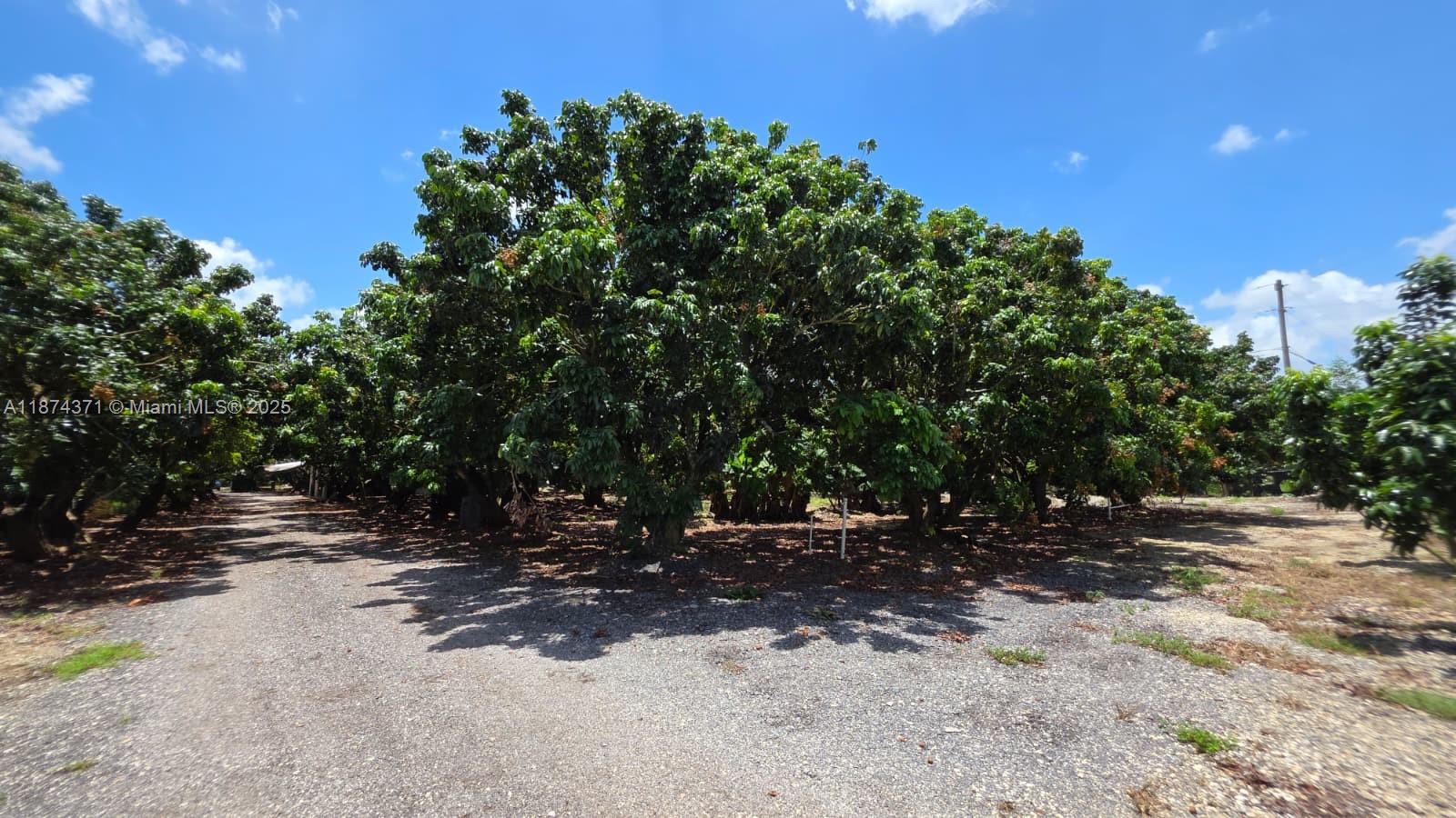 20970 Southwest 296th Street Homestead, FL 33030 - Photo 10 of 14 a view of outdoor space and yard