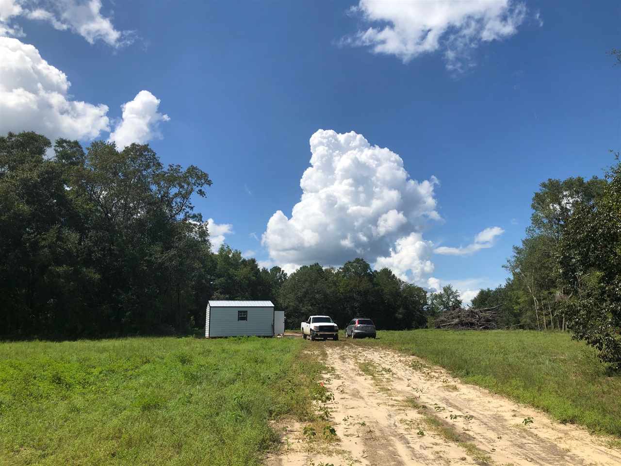 1851 Northeast Raintree Avenue Pinetta, FL 32350 - Photo 9 of 10 Gallery Image 9