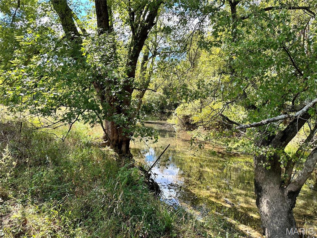 0 Lot 6 Mill Spring Mill Spring, MO 63952 - Photo 49 of 65