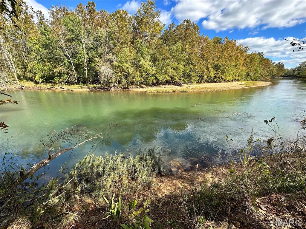 0 Lot 6 Mill Spring Mill Spring, MO 63952 - Photo 50 of 65