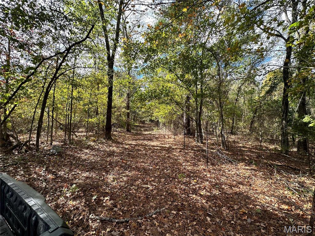 0 Lot 6 Mill Spring Mill Spring, MO 63952 - Photo 52 of 65