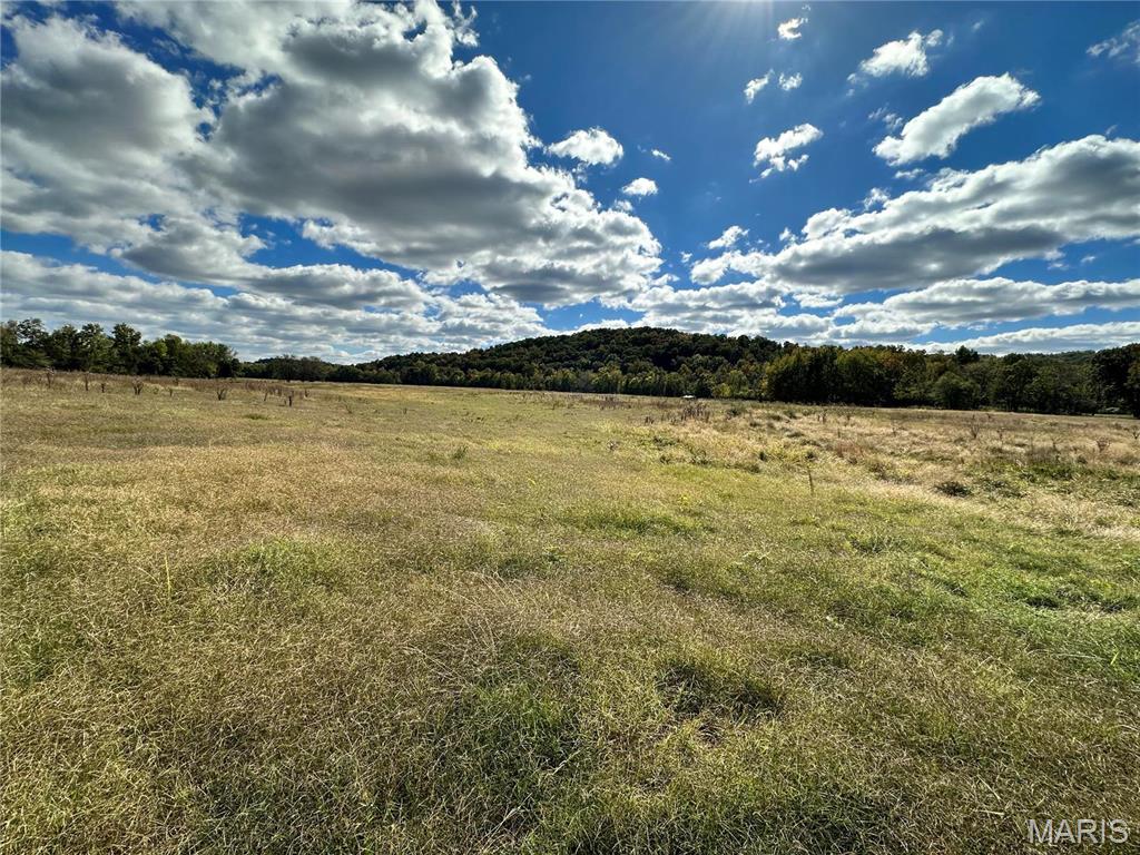 0 Lot 6 Mill Spring Mill Spring, MO 63952 - Photo 54 of 65