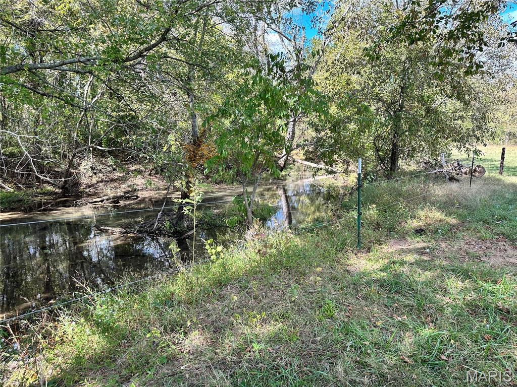 0 Lot 6 Mill Spring Mill Spring, MO 63952 - Photo 55 of 65