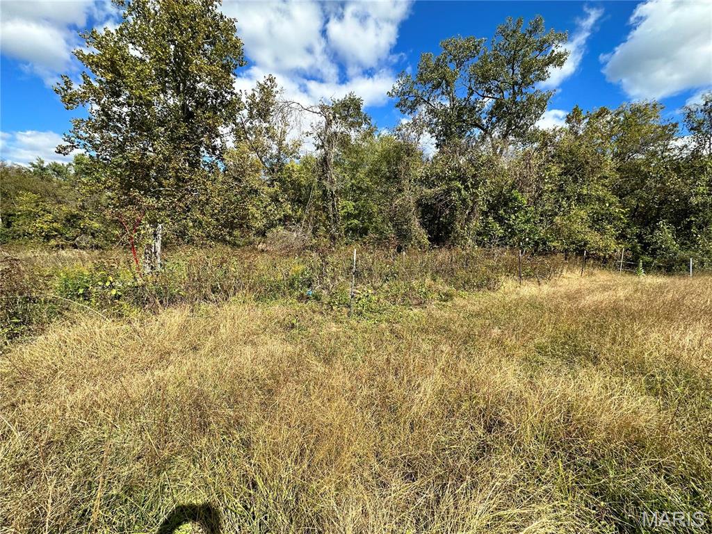 0 Lot 6 Mill Spring Mill Spring, MO 63952 - Photo 56 of 65