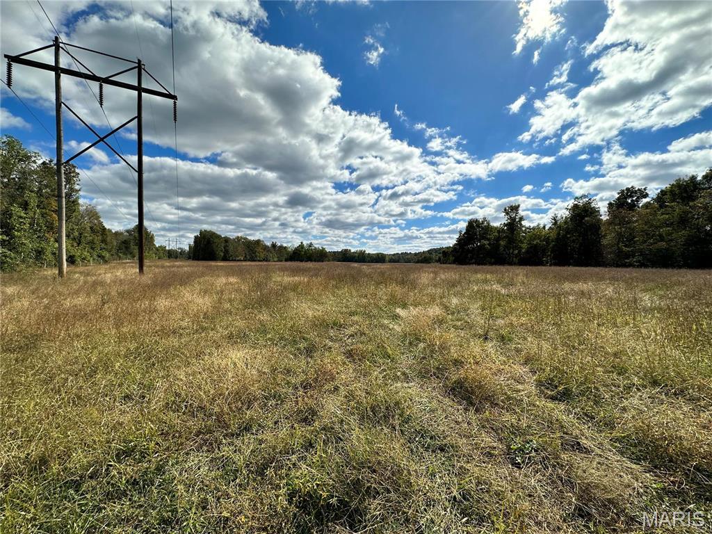 0 Lot 6 Mill Spring Mill Spring, MO 63952 - Photo 57 of 65