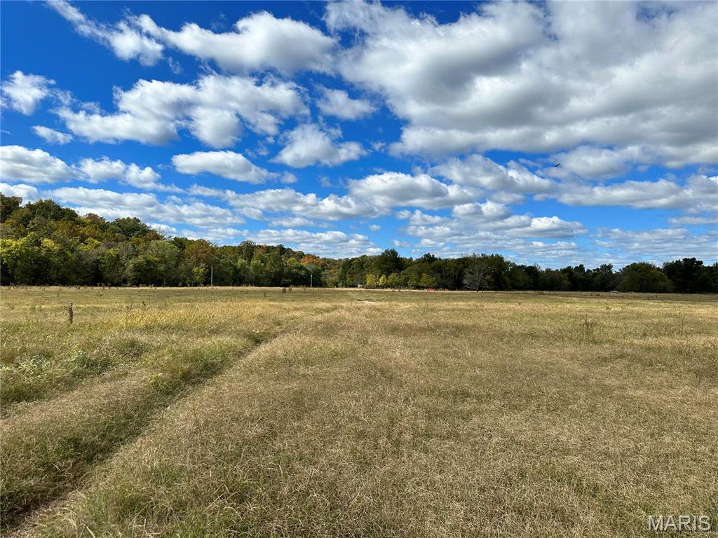 0 Lot 6 Mill Spring Mill Spring, MO 63952 - Photo 62 of 65