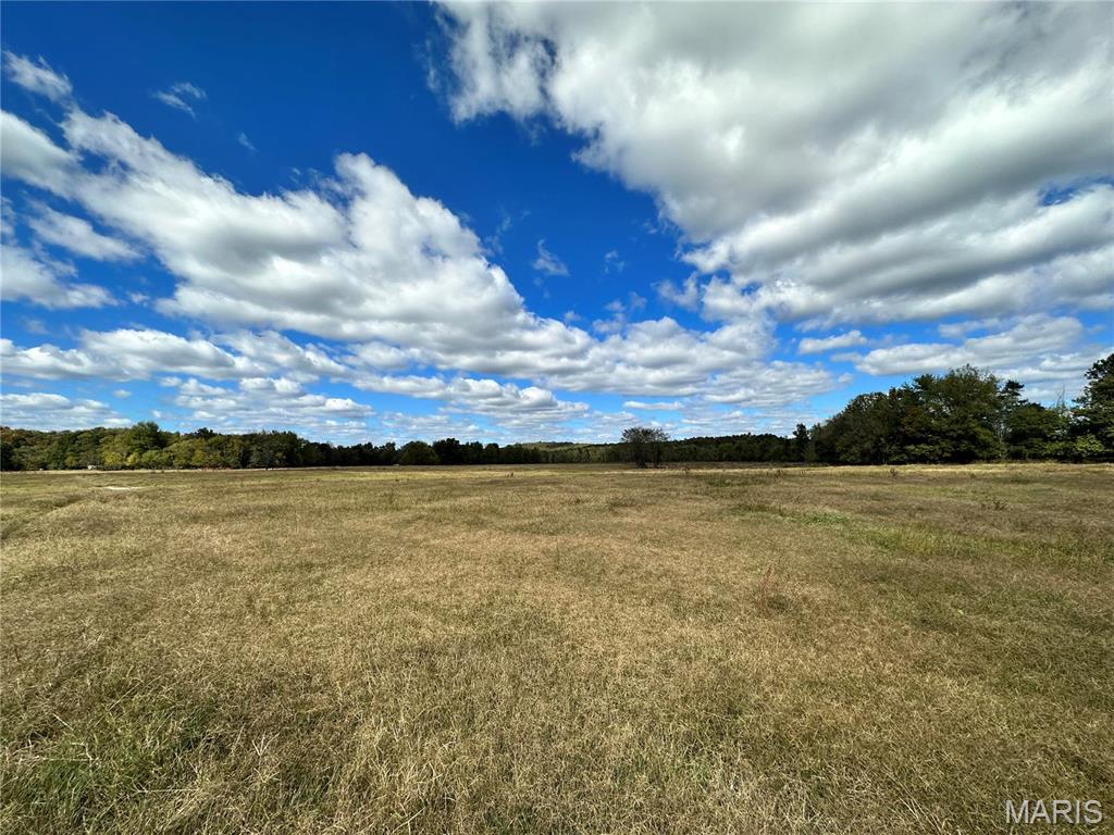 0 Lot 6 Mill Spring Mill Spring, MO 63952 - Photo 63 of 65