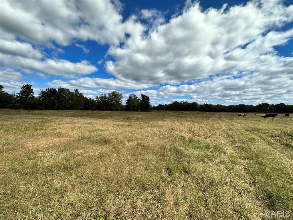 0 Lot 6 Mill Spring Mill Spring, MO 63952 - Photo 64 of 65