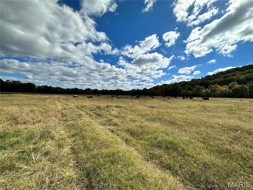 0 Lot 6 Mill Spring Mill Spring, MO 63952 - Photo 65 of 65