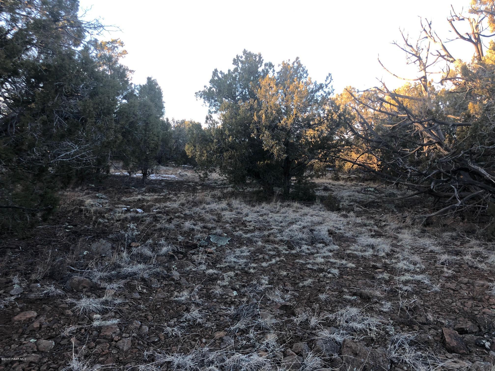 Lot 1567 Lion Canyon Ranch Road Seligman, AZ 86337 - Photo 11 of 15 IMG_2768